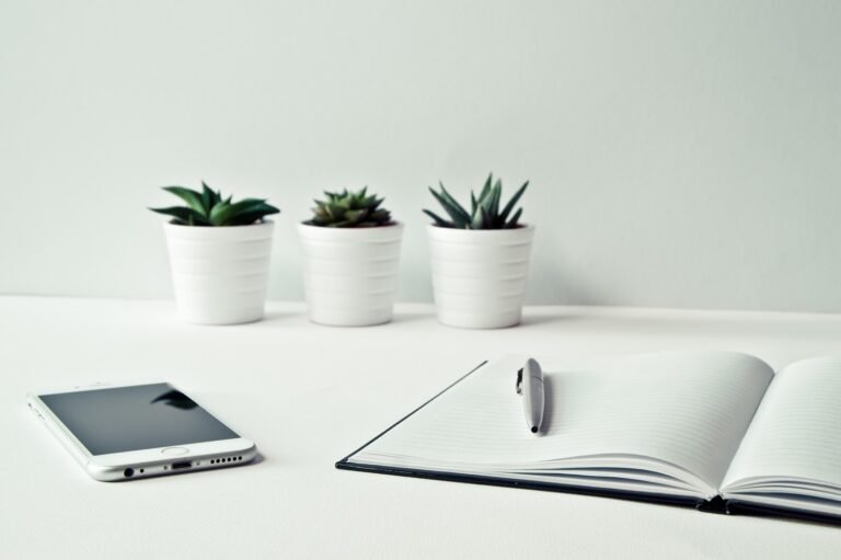 A simple desk with an open notebook, phone, pen, and small plants.
